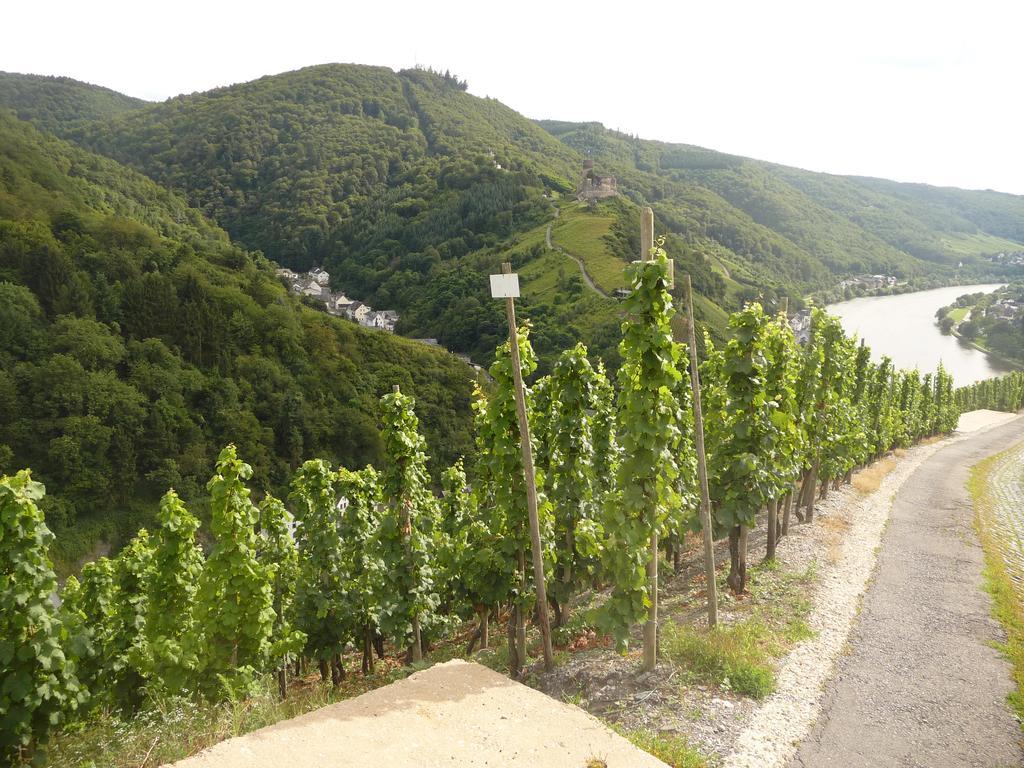Gaestehaus Ehses Bernkastel-Kues Esterno foto